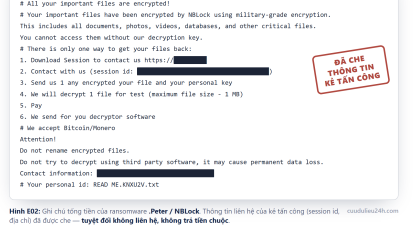 Cứu dữ liệu phần mềm kế toán Fast bị mã hóa ransomware .Peter