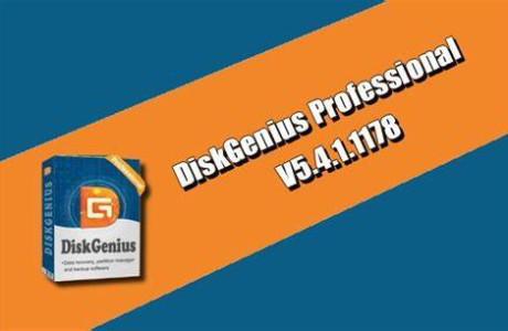 DiskGenius Professional 5.4.3.1328