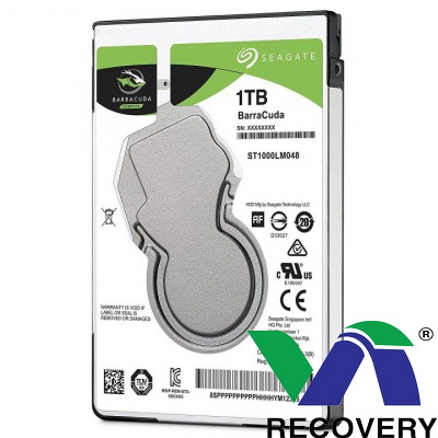 Cung cấp giải pháp cứu dữ liệu dòng đĩa cứng Seagate mới nhất, bị khóa terminal.
