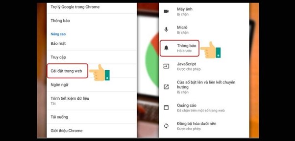 chọn v&agrave;o mục t&iacute;nh năng Th&ocirc;ng b&aacute;o