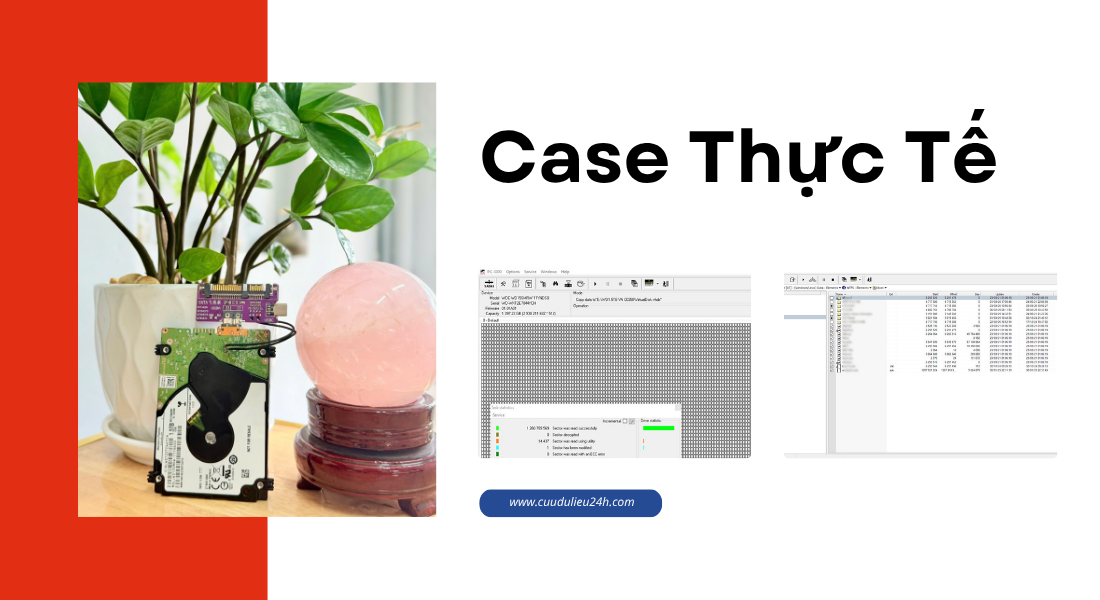 Case thực tế điển h&igrave;nh về mất dữ liệu