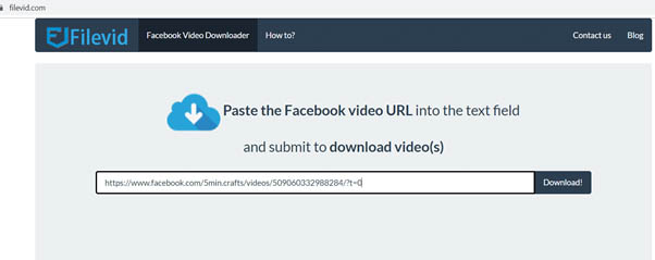 Filevid