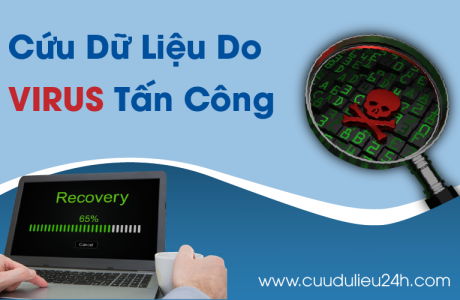 Cứu dữ liệu do virus