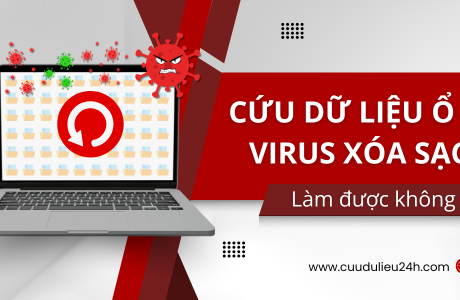 Cứu Dữ Liệu Bị Virus Xóa Sạch
