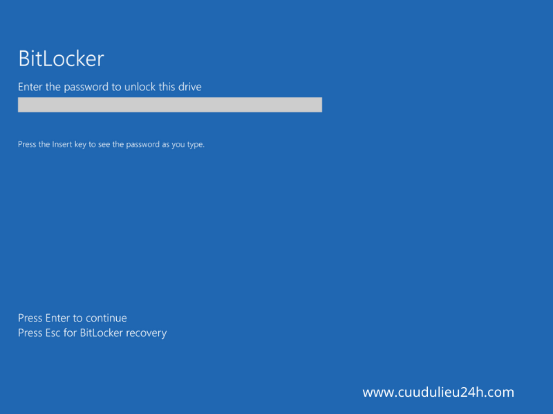kh&oacute;a kh&ocirc;i phục bitlocker
