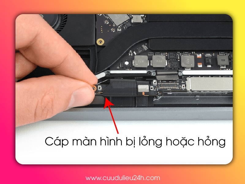 Kiểm tra kết nối