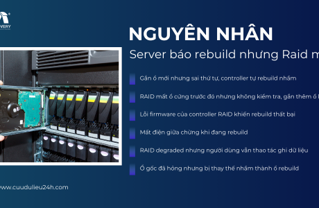 Server Raid Rebuild Bị Mất