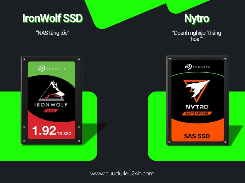 IronWolf SSD Nytro