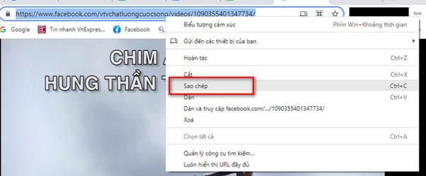 Download4