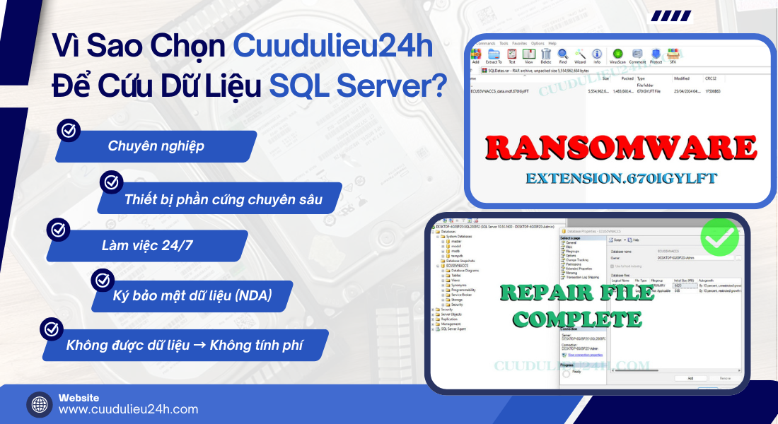 V&igrave; Sao Chọn Cuudulieu24h Để Cứu Dữ Liệu SQL Server?