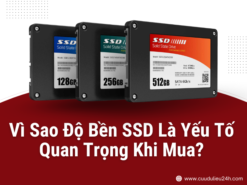 Vì Sao Độ Bền SSD Là Yếu Tố Quan Trọng Khi Mua?