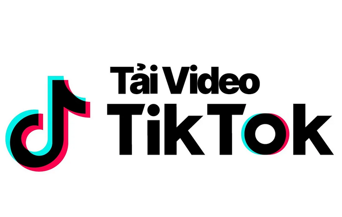 Video TikTok được lưu ở đ&acirc;u sau khi được tải xuống?