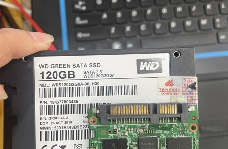 Cứu dữ liệu SSD WD Green